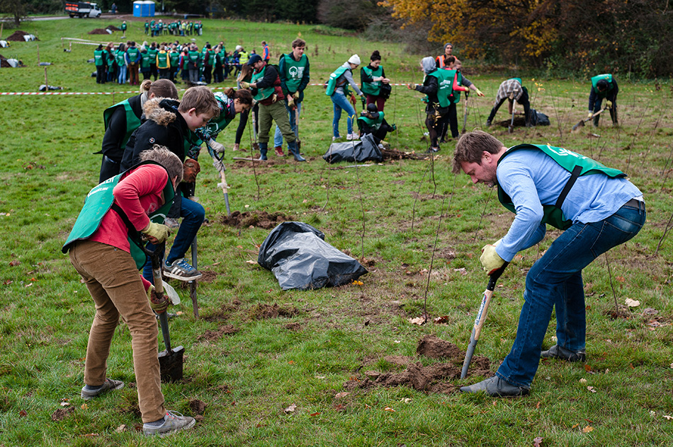 ABP partners with Trees for Cities to plant 21,000 trees across UK regions
